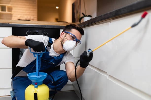 Best Insect Control  in Bonsall, CA