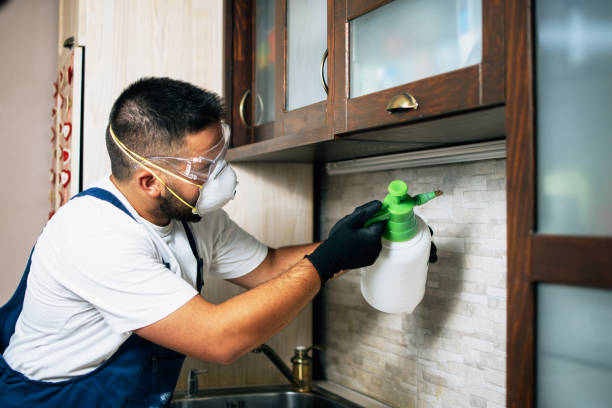 Best Best Pest Control Companies  in Bonsall, CA