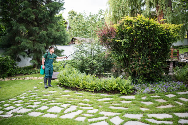 Best Wasp Removal Services  in Bonsall, CA