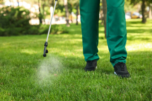 Best Commercial Pest Control Services  in Bonsall, CA