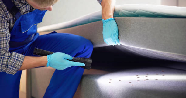 Best Flea Control Services  in Bonsall, CA
