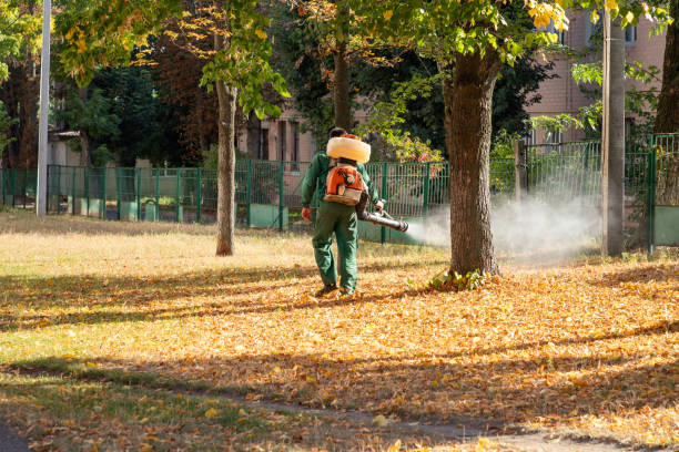 Pest Prevention Services in Bonsall, CA